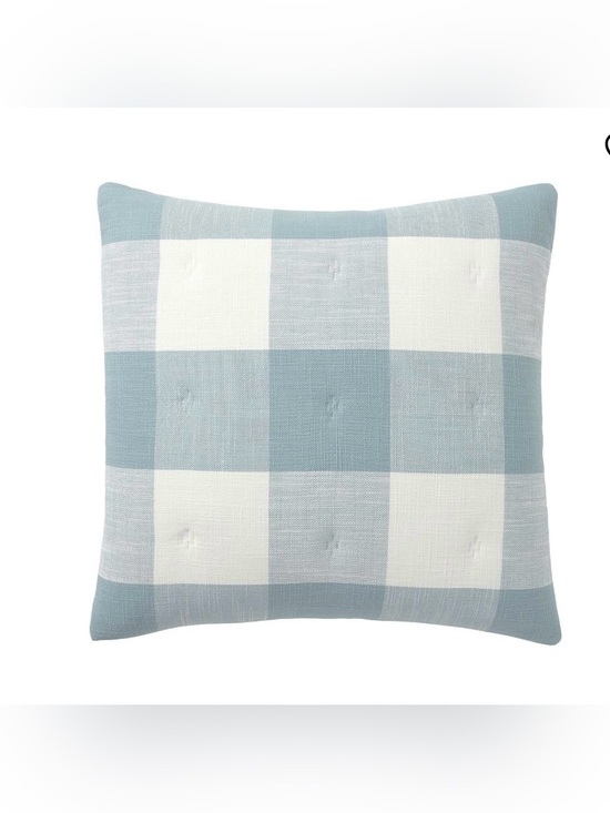 Other - 2 New Pottery Barn Bryce Buffalo Check Euro Shams in Chambray